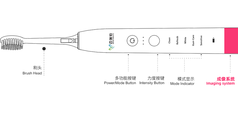 智能声波电动牙刷